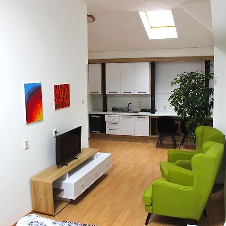 Krásny priestranný slnečný apartmán v centre mesta Trenčín Exterior foto