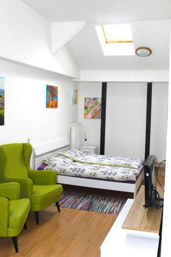 Krásny priestranný slnečný apartmán v centre mesta Trenčín Exterior foto
